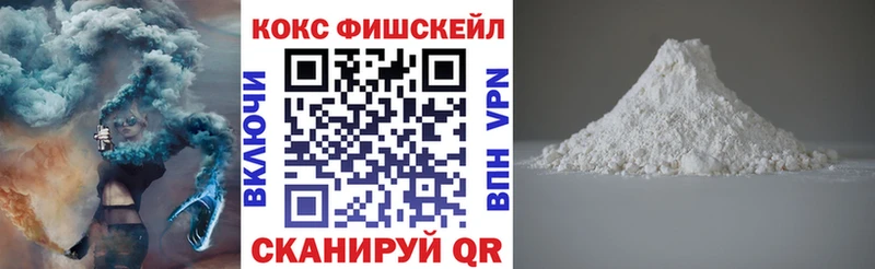 Купить закладки  Шенкурск  Кокаин FishScale 