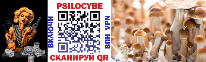 Галлюциногенные грибы Psilocybine cubensis  Купить  Шенкурск 